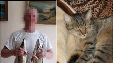 Vilnietis surengė žiaurią egzekuciją: kaimynų akivaizdoje užmušė katiną