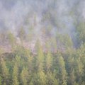Латвия в огне: горит более 1000 гектаров леса и торфяных болот