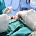 Santaros klinikose pirmą kartą atlikta transplantacija iš neplakančios širdies donoro