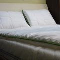 „Statyba Jums“: lova spintoje - sprendimas mažoms erdvėms