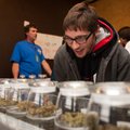 В пяти штатах США проголосовали за легализацию марихуаны
