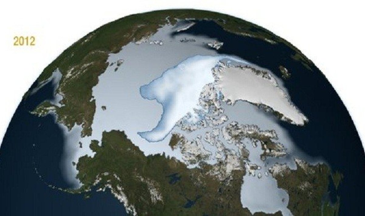 Arkties ledynai 2012 m.