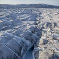 Grenlandijoje mokslininkams pavyko užfiksuoti įspūdingą reginį