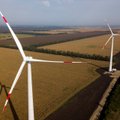Vėjo jėgainės šiemet pagamino 11 proc. daugiau energijos