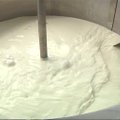 „Rusijos parmezano“ fabrike kol kas gaminamas tik mocarelos sūris