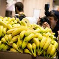 Lietuvos prekybos tinkluose – seniai regėtos bananų kainos