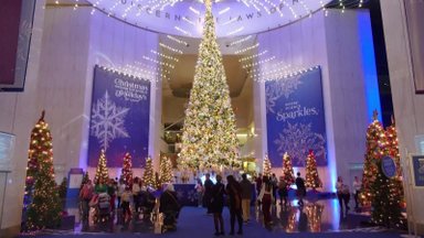 Kalėdų eglutėms skirtoje ekspozicijoje – dekoruotos žaliaskarės iš viso pasaulio