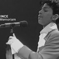 In Memoriam Prince'ui: muzikos žanrų diktatūrai nepaklususi kūryba