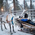 „Misija Laplandija“: kokios staigmenos šiemet laukia mūsų mažųjų