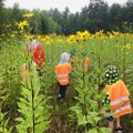 Mokyklas ragina sekti Estijos ar Islandijos pavyzdžiu: rudens pradžioje mokykitės gamtoje