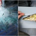 Per dvi dienas Šiaulių aplinkosaugininkai patikrino per 60 žvejų
