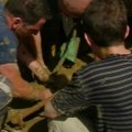 Gruzijoje sugautas per potvynį iš zoologijos sodo pasprukęs krokodilas