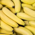 Štai kaip bananai veikia mūsų organizmą