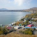 Palangą rado Armėnijoje