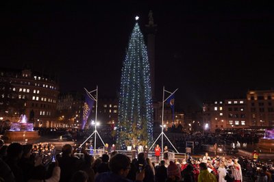 Kalėdų eglė Trafalgaro aikštėje, Londone
