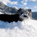 10 įdomiausių faktų apie sniegą