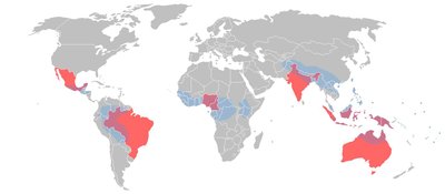 Daugiau kaip pusė nykstančių kalbų yra aštuoniose šalyse