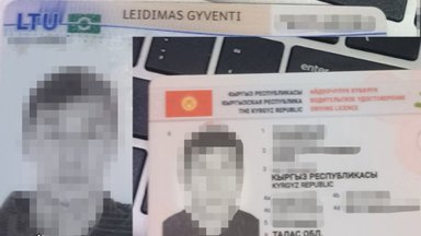 Из Литвы депортируют еще одного водителя-нелегала