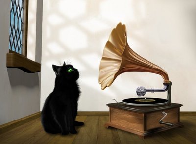 Katės irgi mėgsta klausytis muzikos