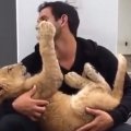 Užkariauja internautų širdis: žmogus glėbyje sūpuoja ir bučiuoja liūtuką