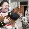 Tragiškas laukinių gyvūnų likimas Ukrainoje: kai kurie žūsta nuo sprogimų, kiti – nuo jų sukelto išgąsčio