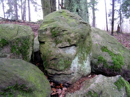 Anot skulptoriaus Antano Vaškio, šis veidas akmenyje spėjamoje Lopaičių šventvietėje – žmogaus rankų darbas (E. Bunkos nuotr.)