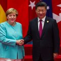 Leonidas Beršidskis. Europai teks spręsti ir savo „Kinijos“ problemą