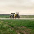 Herbicidams atsparios piktžolės jau Lietuvoje – ką daryti