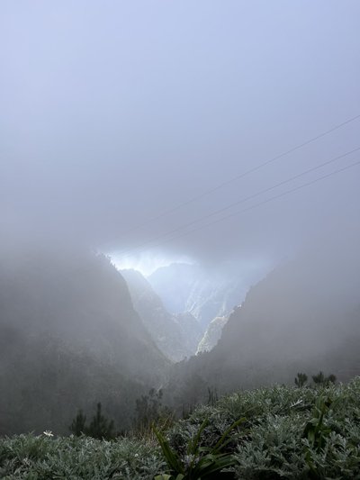 Madeira, nuotr. iš asmeninio archyvo