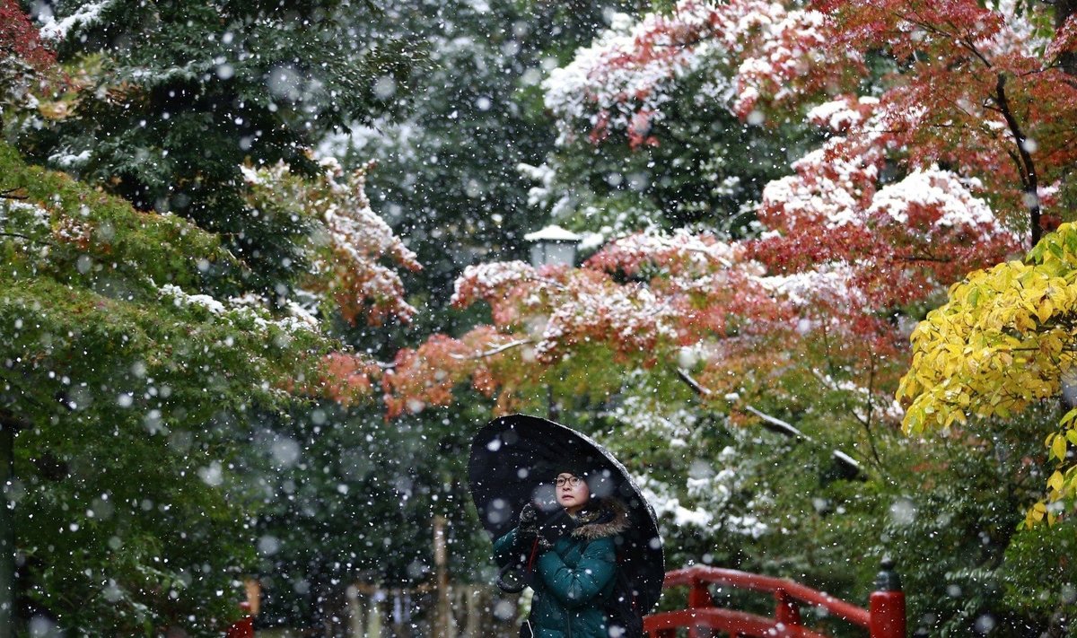Sniegas Tokijuje