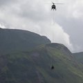 Sužeistas karves virš Šveicarijos ganyklų gabeno sraigtasparnis
