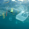 Sausumoje ir vandenynuose sparčiai daugėja unikalią savybę turinčių mikrobų: ar plastikas bus „suvirškintas“?