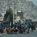 Rytų Afganistane sprogus pakelės bombai, žuvo talibų kovotojas, dar septyni žmonės sužeisti