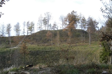 Rietavo miškų urėdijos rekonstruotas Lopaičių piliakalnis (E. Bunkos nuotr.)