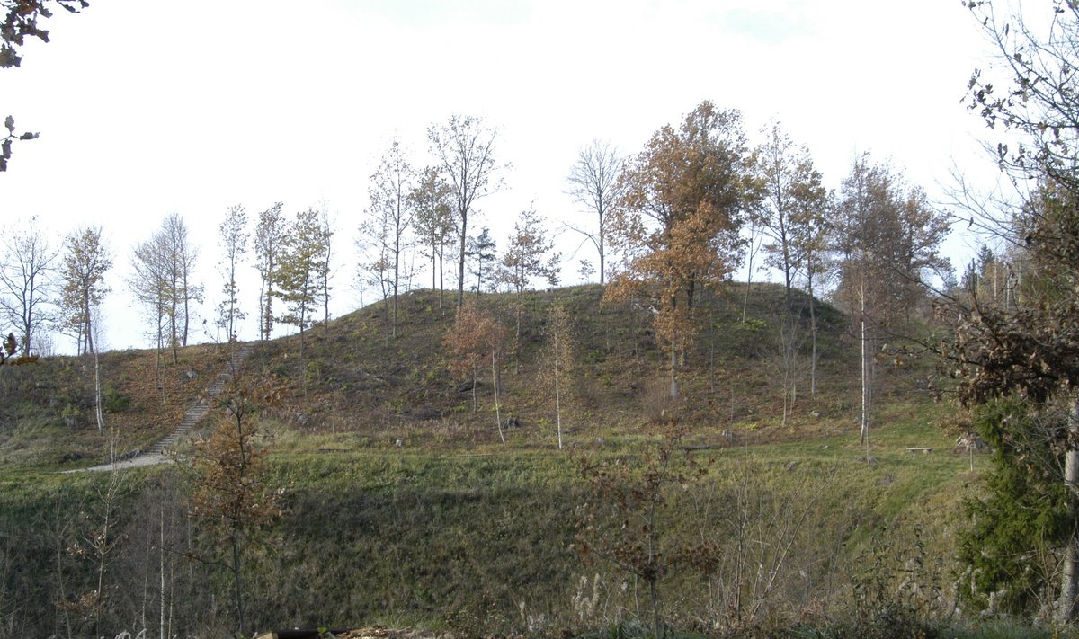 Rietavo miškų urėdijos rekonstruotas Lopaičių piliakalnis (E. Bunkos nuotr.)