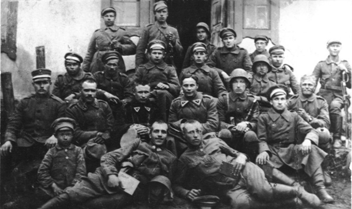 Lietuvos kariai, 1919 m.