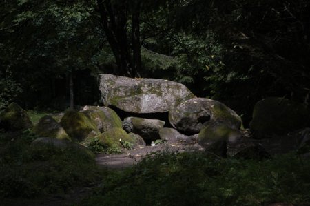 Spėjamos Lopaičių Šventvietės spėjamas dolmenas. Tikri dolmenai, anot jų tyrinėtojų, senovės žmonių pastatyti pažymėti palankius žmogui Žemės energetinius taškus (E. Bunkos nuotr.)