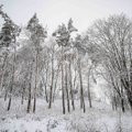 Orai: snygis pamažu rims, į Lietuvą ims plūsti šaltis