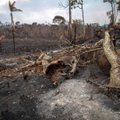 Nerimą keliantys vaizdai iš sudegusių Amazonės miškų: tyliai naikinami didžiausi „žemės plaučiai“