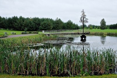 Baltų gyvybės medis