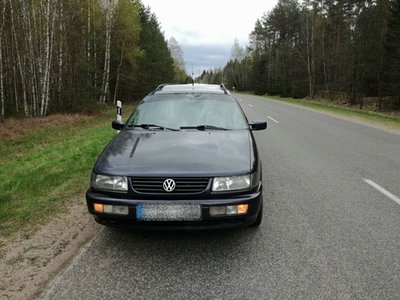 Antis pramušė "Volkswagen Passat" stiklą
