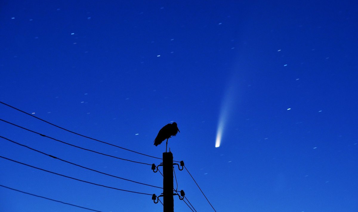 Kometa NEOWISE danguje buvo matoma 2020-aisiais.Scanpix/VidaPress nuotr.
