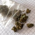 Kaišiadorių rajone sulaikytas vyras su marihuana