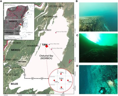 Meksikos pakrantėje aptikta povandeninė smegduobė Taam Ja' šiuo metu yra giliausia visame pasaulyje. Frontiers in Marine Science (2024). DOI: 10.3389/fmars.2024.1387235