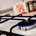 Vyriausybė patvirtino elektros ir dujų kainų kompensacijas gyventojams