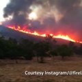 Kalifornijoje dėl miškų gaisrų paskelbta nepaprastoji padėtis