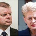 Girnius: Grybauskaitė pasinaudojo proga parodyti Skverneliui, kad ne taip lengva vykdyti prezidento pareigas