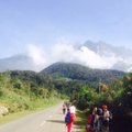 Po žemės drebėjimo Borneo saloje rasta 11 negyvų alpinistų ant Kinabalu kalno