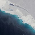 Mokslininkus šokiravo naujausi Antarktidos ledyno tyrimai