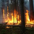 Milžiniškas gaisras sunaikino 900 hektarų miško